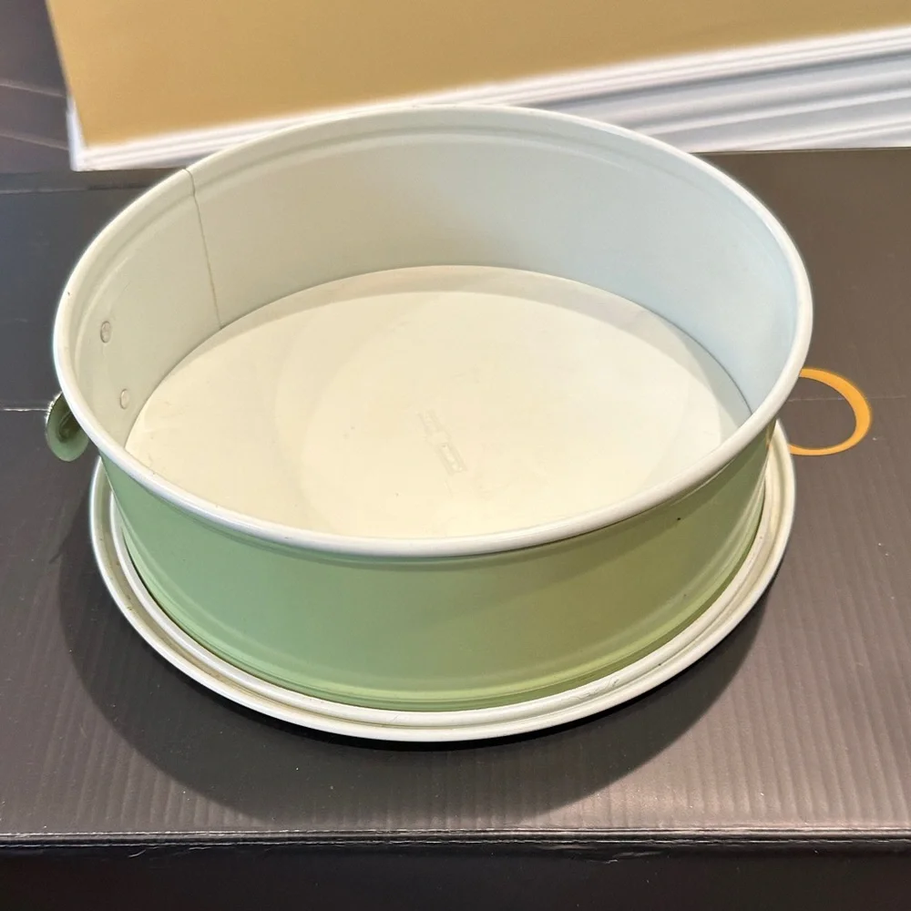Light Green Springform Pan - Picture 1 of 4